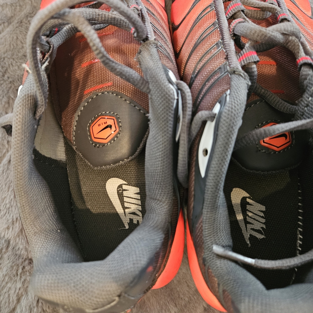 Nike Air Max Plus Gray and Black Sneakers